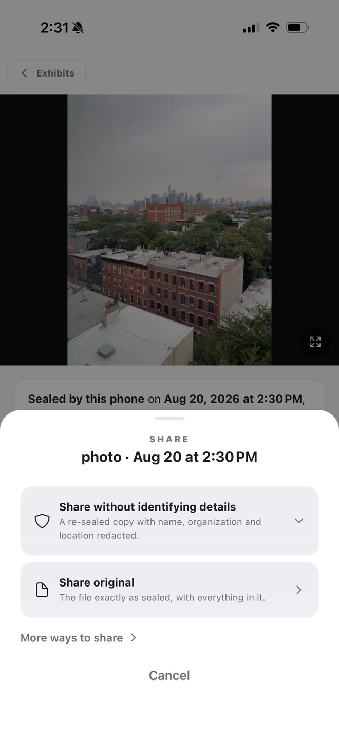 The share sheet offering a re-sealed copy with name, organization and location redacted, or the original file exactly as sealed.